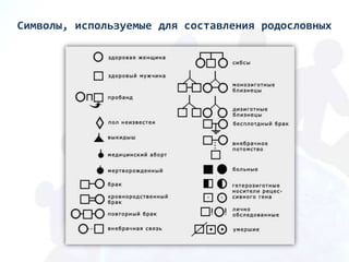Символы, используемые для составления родословных
 