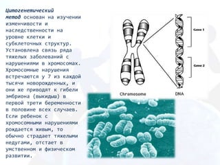 Цитогенетический
метод основан на изучении
изменчивости и
наследственности на
уровне клетки и
субклеточных структур.
Установлена связь ряда
тяжелых заболеваний с
нарушениями в хромосомах.
Хpoмocoмные нарушения
встречаются у 7 из каждой
тысячи новорожденных, и
они же приводят к гибели
эмбриона (выкидыш) в
первой трети беременности
в половине всех случаев.
Если ребенок с
хромосомными нарушениями
рождается живым, то
обычно страдает тяжелыми
недугами, отстает в
умственном и физическом
развитии.
 