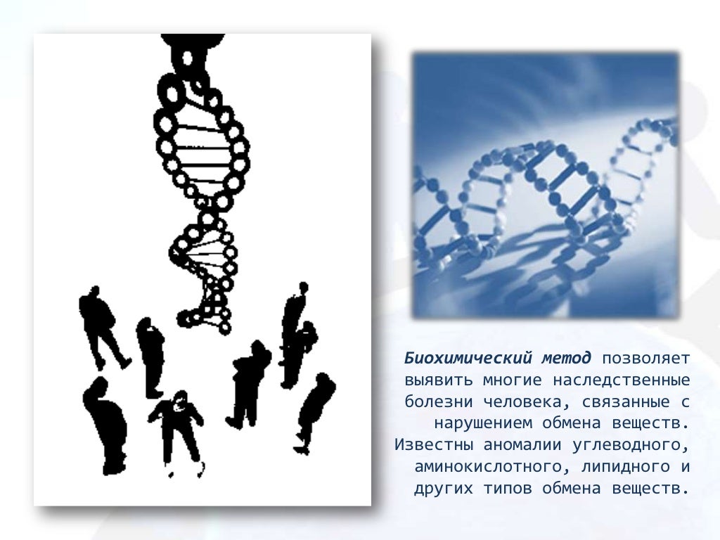 Генетика рас человека. Дискуссия о генетике. Профессии связанные с генетикой человека. Плакаты по генетике человека.