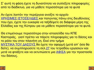 Σ’ αυτή τη φάση έχετε τη δυνατότητα να συλλέξετε πληροφορίες
από το διαδίκτυο, για να μάθετε περισσότερα για τα φυτά

Αν έχετε λοιπόν την περιέργεια ανοίξτε το αρχείο
ΧΡΗΣΙΜΕΣ ΙΣΤΟΣΕΛΙΔΕΣ και πατώντας πάνω στις διευθύνσεις
που έχει, έχετε την ευκαιρία να ταξιδέψετε σε διάφορα μέρη της
Ελλάδας και της Κύπρου για να μάθετε περισσότερα για τα φυτά.

Θα επιμείνουμε περισσότερο στην ιστοσελίδα του ΚΠΕ
Καστοριάς, γιατί πρέπει να πάρετε πληροφορίες για το δάσος και
το ρόλο του στον πλανήτη γη. Εκεί στο τμήμα
ΜΥΣΤΙΚΑ ΤΟΥ ΔΑΣΟΥΣ θα έχετε την αφορμή (μετά απ’ όσα θα
δείτε), να συμπληρώσετε τη σελ.27 του τετραδίου εργασιών και
μετά να φτιάξετε και να εκτυπώσετε μια ΑΦΙΣΑ για την προστασία
του δάσους.
 