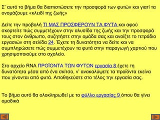 Σ’ αυτό το βήμα θα διαπιστώσετε την προσφορά των φυτών και γιατί τα
ονομάζουμε «κλειδί της ζωής»

Δείτε την προβολή ΤΙ ΜΑΣ ΠΡΟΣΦΕΡΟΥΝ ΤΑ ΦΥΤΑ και αφού
σκεφτείτε πώς συμμετέχουν στην αλυσίδα της ζωής και την προσφορά
τους στον άνθρωπο, συζητήστε στην ομάδα σας και ανοίξτε το τετράδιο
εργασιών στη σελίδα 24. Έχετε τη δυνατότητα να δείτε και να
συμπληρώσετε πώς συμμετέχουν τα φυτά στην παραγωγή χαρτιού που
χρησιμοποιούμε στο σχολείο.

Στο αρχείο RNA ΠΡΟΪΟΝΤΑ ΤΩΝ ΦΥΤΩΝ εργασία 8 έχετε τη
δυνατότητα μέσα από ένα σκίτσο, ν’ ανακαλύψετε τα προϊόντα εκείνα
που γίνονται από φυτά. Αποθηκεύστε στο τέλος την εργασία σας.


Το βήμα αυτό θα ολοκληρωθεί με το φύλλο εργασίας 9 όπου θα γίνει
ομαδικά
 
