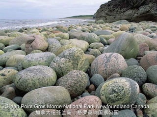 Green Point Gros Morne National Park Newfoundland Canada
            加拿大纽芬兰岛：格罗莫讷国家公园
 