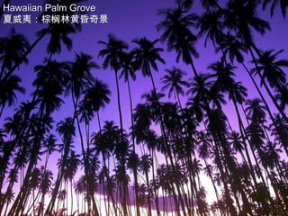 Hawaiian Palm Grove
夏威夷：棕榈林黄昏奇景
 