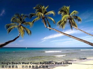 King's Beach West Coast Barbados West Indies
西印度群岛：巴巴多斯国王海滩
 