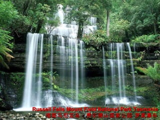 Russell Falls Mount Field National Park Tasmania
    塔斯马尼亚岛：费尔德山国家公园 罗素瀑布
 