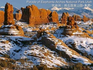 Parade of Elephants Arches National Park Utah
                 犹他州：拱石国家公园“ 象群”
 
