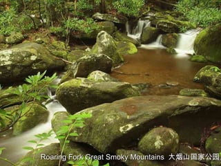 Roaring Fork Great Smoky Mountains 大烟山国家公园
 