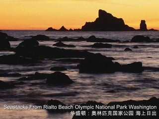 Seastacks From Rialto Beach Olympic National Park Washington
                          华盛顿：奥林匹克国家公园 海上日出
 