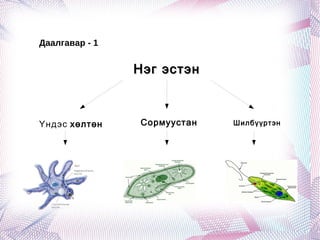 нэг эстэн | PPT