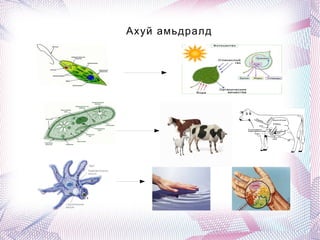 Ахуй амьдралд
 
