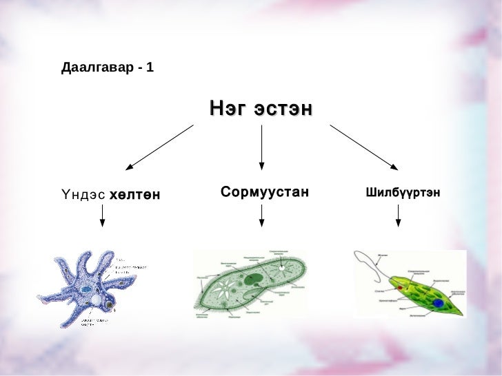 нэг эстэн