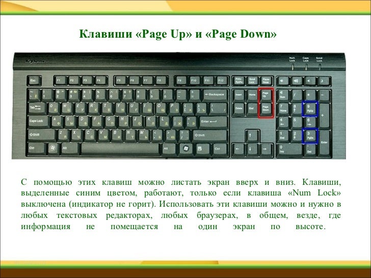 Page up какая клавиша. Page up какая клавиша