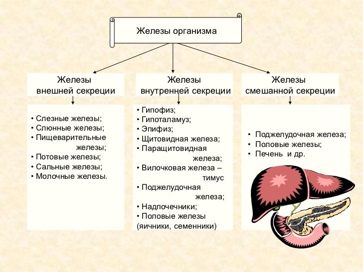 Народные Народные
