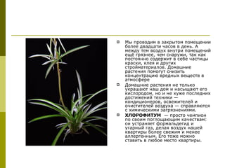    Мы проводим в закрытом помещении
    более двадцати часов в день. А
    между тем воздух внутри помещений
    ещё грязнее, чем снаружи, так как
    постоянно содержит в себе частицы
    краски, клея и других
    стройматериалов. Домашние
    растения помогут снизить
    концентрацию вредных веществ в
    атмосфере
   Домашние растения не только
    украшают наш дом и насыщают его
    кислородом, но и не хуже последних
    достижений техники —
    кондиционеров, освежителей и
    очистителей воздуха — справляются
    с химическими загрязнениями.
   ХЛОРОФИТУМ — просто чемпион
    по своим поглощающим качествам:
    он устраняет формальдегид и
    угарный газ, делая воздух нашей
    квартиры более свежим и менее
    аллергенным. Его тоже можно
    ставить в любое место квартиры.
 