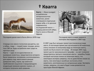 † Квагга
                                        Квагга — (Equus quagga) 
                                        истреблённое 
                                        непарнокопытное 
                                        животное, ранее 
                                        считавшееся отдельным 
                                        видом зебр, а по данным 
                                        современных 
                                        исследований квагга — 
                                        подвид равнинной зебры. 
                                        Квагги жили в Южной 
                                        Африке
Последняя дикая квагга была убита в 1878 году                      Последняя квагга в мире умерла в 
                                                                   зоопарке Амстердама в 1883 году

Спереди они имели полосатую расцветку, как      В 1987 году был запущен проект восстановления вида 
у зебры, сзади — гнедой окрас лошади, длину     квагга. В настоящее время уже насчитывается 60 животных, 
тела 180 см. Буры истребляли квагг ради их      очень похожих по внешнему виду на типичную кваггу, 
прочных шкур.                                   какой она была много лет назад.   20 января 2005 года, 
Квагга — едва ли не единственное из             проект достиг максимального триумфа – на свет появился 
вымерших животных, представители которого       представитель третьего поколения квагги – жеребец Генри, 
были приручены человеком и использовались       который настолько похож на типичную кваггу, что 
для охраны стад: квагги много раньше            некоторые эксперты уверены, что он даже более похож на 
домашних овец, коров, кур замечали              кваггу, чем некоторые музейные экспонаты этого 
приближение хищников и предупреждали            животного, изготовленные из натуральных шкур. Эксперты 
владельцев громким криком «куаха», от           теперь  уверены, что квагга будет снова резвиться на 
которого получили своё название.                просторах Южной Африки.
 