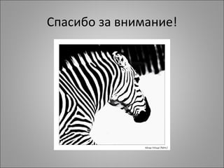 Спасибо за внимание!
 