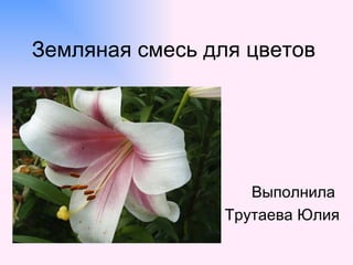 Земляная смесь для цветов




                    Выполнила
                 Трутаева Юлия
 