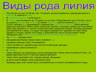 •   Род Лилия состоит из более чем 110 видов, распространённых преимущественно в
    Европе, а главное в Азии.
•   В Северной Америке не больше 6.
•   В России насчитывается до 16 видов, из которых в Европейской части России, почти
    до широты Казани, а в Сибири до самой Камчатки, распространена Лилия саранка
    (Lilium martagon L.), называемая в садоводстве царскими кудрями. Облиственный,
    довольно высокий стебель несёт несколько крупных, поникших цветов мутно-розового
    цвета, без аромата и с сильно отвороченными покроволистиками. Луковица растения
    употребляется в пищу, а в садах она давно разводится и засевается сама собой,
    держась в рощах. Кроме этого вида, в Европейской части России можно также
    обнаружить вид Лилия опушённая (Lilium pilosiusculum (Freyn) Miscz.).
•   На Кавказе произрастают:
•   обыкновенная белая лилия (Lilium candidum L.);
•   однобратственная Lilium monadelphum;
•   Lilium sovitianum с ароматными золотисто-жёлтыми цветами;
•   пиренейская Lilium pyrenaicum.
•   В Сибири:
•   очень обильно на суходольных лугах произрастает лилия Lilium tenuifolium Fisch.; во
    время цветения поля от неё уже издали краснеют;
•   также Lilium speclabile Link. (сарана лесная, большая),
•   (в восточной Сибири) Lilium pulchellum Fisch.
•   Луковицы всех этих лилий могут употребляться и отчасти употребляются в пищу.
 