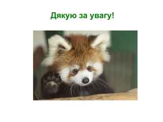 Дякую за увагу!
 