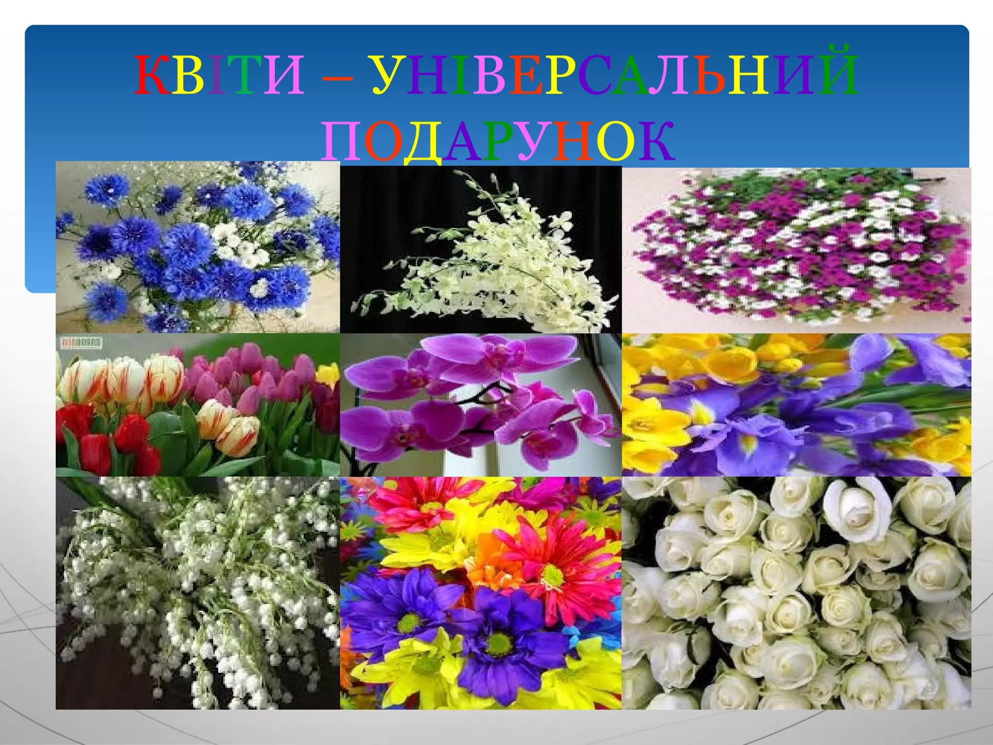 КВІТИ – УНІВЕРСАЛЬНИЙ
      ПОДАРУНОК
 