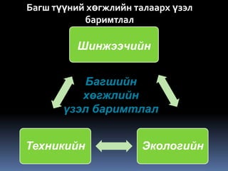 Багш түүний хөгжлийн талаарх үзэл
           баримтлал

          Шинжээчийн


          Багшийн
          хөгжлийн
       үзэл баримтлал


Техникийн             Экологийн
 