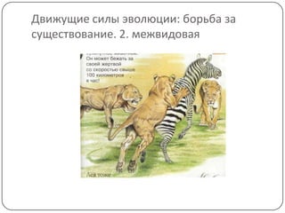 Движущие силы эволюции: борьба за
существование. 2. межвидовая
 