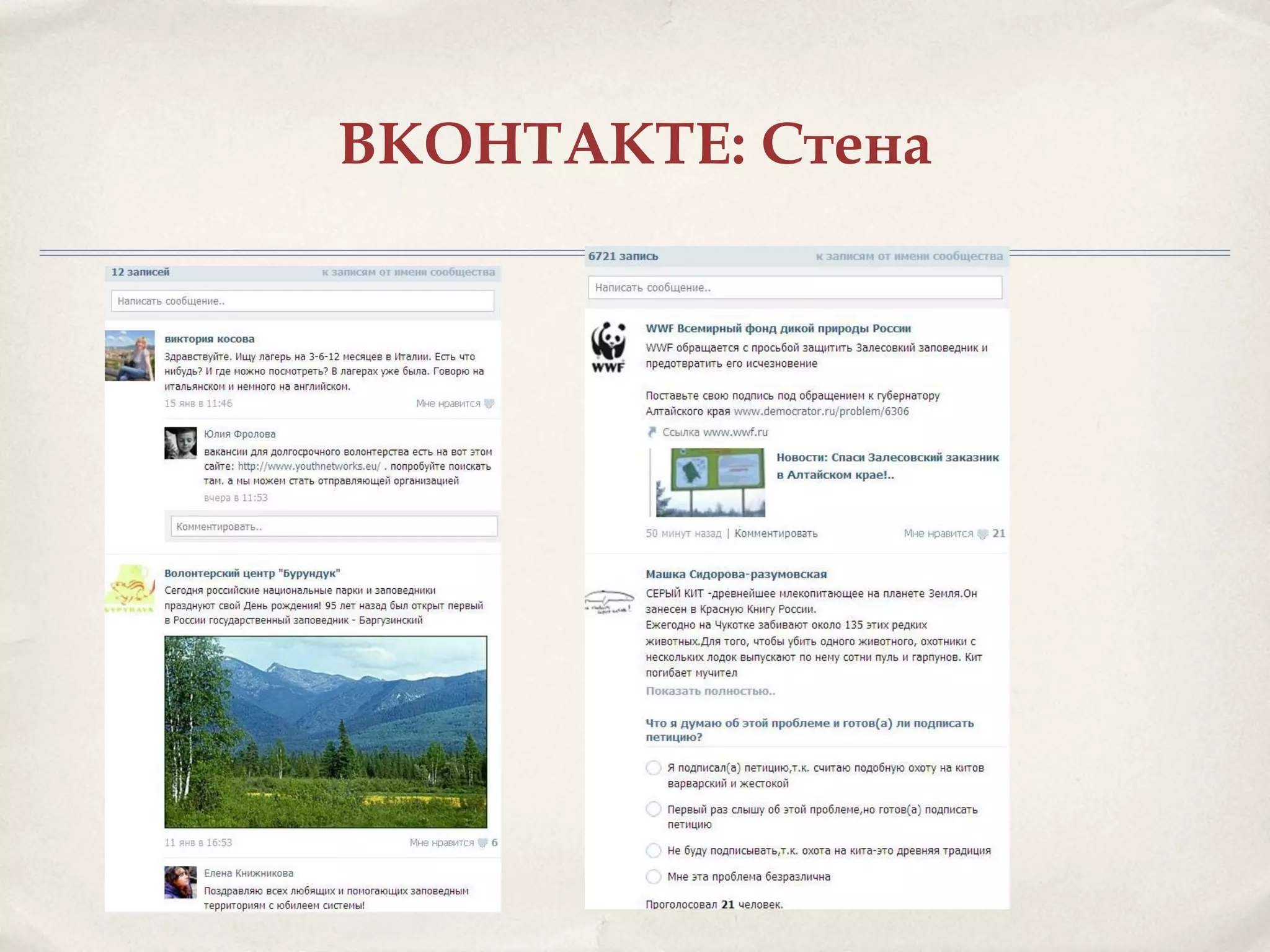 ВКОНТАКТЕ: Стена
 