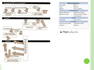 ▲ Πηγή: wikipedia
 