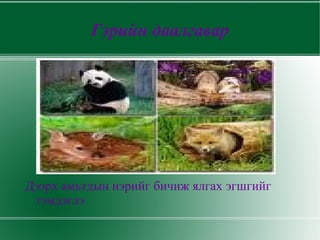 Гэрийн даалгавар




Дээрх амьтдын нэрийг бичиж ялгах эгшгийг
 тэмдэглэ
 