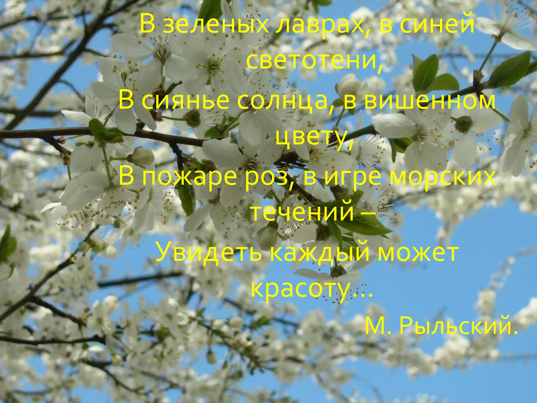 В зеленых лаврах, в синей
          светотени,
В сиянье солнца, в вишенном
            цвету,
В пожаре роз, в игре морских
          течений –
   Увидеть каждый может
          красоту…
                  М. Рыльский.
 