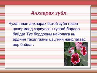Анхаарах зүйл

Чухалчлан анхаарах ёстой зүйл гэвэл
  цахирмаад зориулсан тусгай бордоо
  байдаг.Тус бордооны найрлага нь
  ердийн тасалгааны цэцгийн найрлагаас
  өөр байдаг.
 