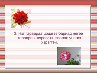 3. Нэг гараараа цэцэгээ бариад нөгөө
   гараараа шороог нь зөөлөн унагах
              хэрэгтэй.
 