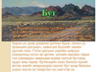 Саваагүй салхинаа туугдсан заяагүй нэгэн үр
эрэг ирмэгт тээглэж тэндээ ургажээ. Үеийн
нөхдөөс тасарч, онцгой газар сондгой ургаж, үхэр
мал ч тоож үнэрлэхгүйд үнэнхүү гутардаг байжээ.
Хурын ус дээр дээрээс дэлхэн бууж, голын ус
эрэмшин догширч, хавьтсан бүхнийг хаман
урсгаж гэнэ. Гэтэл догшин үерийн ширүүн
хоморгонд нэгэн эр өртөж, үхлийн амнаас гарах
гэж самардан хөвөхдөө өнөөх золгүй бутнаас
зуурч амь гарав. Ертөнцийн эзэн болсон хүний
алтан амийг аварсандаа сахлаг бут ихэд баясаж,
үндэс юүгээ эх газартаа гүн шигтгэв ээ.
 