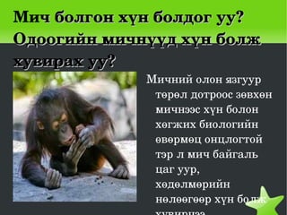 Мич болгон хүн болдог уу?
Одоогийн мичнүүд хүн болж 
хувирах уу?
                 Мичний олон язгуур 
                  төрөл дотроос зөвхөн 
                  мичнээс хүн болон 
                  хөгжих биологийн 
                  өвөрмөц онцлогтой  
                  тэр л мич байгаль 
                  цаг уур, 
                  хөдөлмөрийн 
                  нөлөөгөөр хүн болж 
              
 
