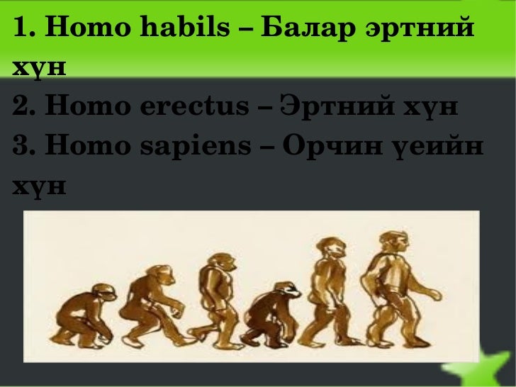 хүний үүсэл