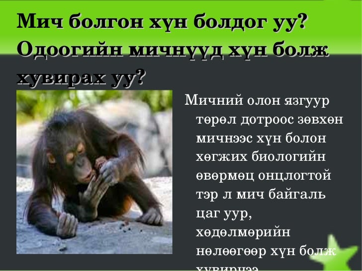 хүний үүсэл
