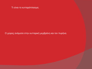 Τι είναι το κυτταρόπλασμα;




Ο χώρος ανάμεσα στην κυτταρική μεμβράνη και τον πυρήνα.
 