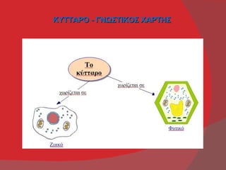 ΚΥΤΤΑΡΟ - ΓΝΩΣΤΙΚΟΣ ΧΑΡΤΗΣ
 