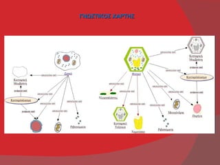 ΓΝΩΣΤΙΚΟΣ ΧΑΡΤΗΣ
 