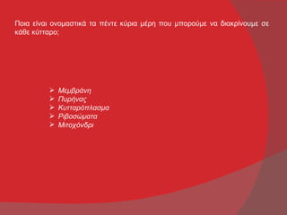Ποια είναι ονομαστικά τα πέντε κύρια μέρη που μπορούμε να διακρίνουμε σε
κάθε κύτταρο;




            Μεμβράνη
            Πυρήνας
            Κυτταρόπλασμα
            Ριβοσώματα
            Μιτοχόνδρι
 