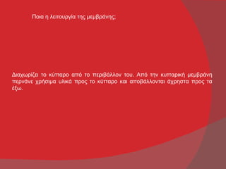 Ποια η λειτουργία της μεμβράνης;




Διαχωρίζει το κύτταρο από το περιβάλλον του. Από την κυτταρική μεμβράνη
περνάνε χρήσιμα υλικά προς το κύτταρο και αποβάλλονται άχρηστα προς τα
έξω.
 