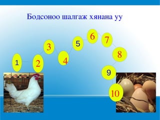 Бодсоноо шалгаж хянана уу

                      6   7
          3       5
                               8
1     2       4
                          9

                              10
 