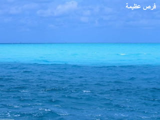 ‫فرص عظيمة‬
 