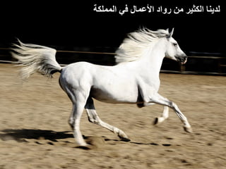 ‫لدينا الكثير من رواد األعمال في المملكة‬
 