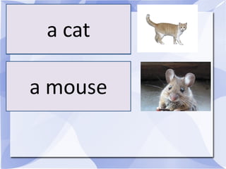 a cat

a mouse
 