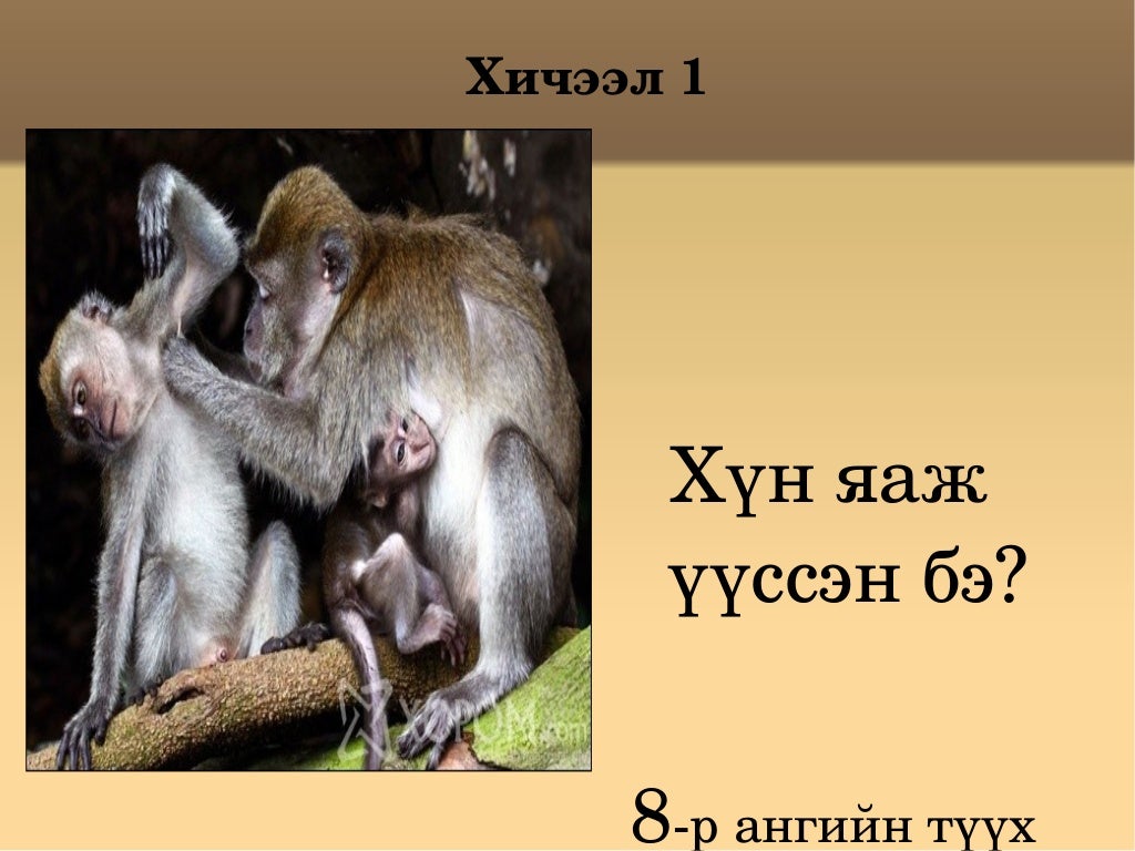 хичээл