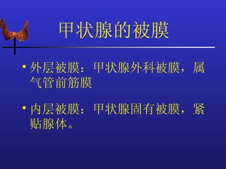 甲状腺的被膜
• 外层被膜：甲状腺外科被膜，属
  气管前筋膜

• 内层被膜：甲状腺固有被膜，紧
  贴腺体。
 