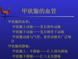 甲状腺的血管
甲状腺的血供：
 甲状腺上动脉——发自颈外动脉
 甲状腺下动脉——发自锁骨下动脉
 甲状腺动脉与气管、食管动脉有广泛吻
 合
甲状腺的静脉：
 甲状腺上、中静脉——汇入颈内静脉
 甲状腺下静脉——汇入无名静脉
 