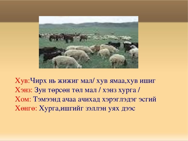 Үгийн тайлбар