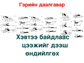 Гэрийн даалгавар




    Хэвтээ байдлаас  
     цээжийг дээш 
      өндийлгөх   
            
 